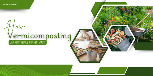 How Vermicomposting Can Help Reduce Kitchen Waste