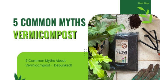 5 Common Myths About Vermicompost – Debunked!