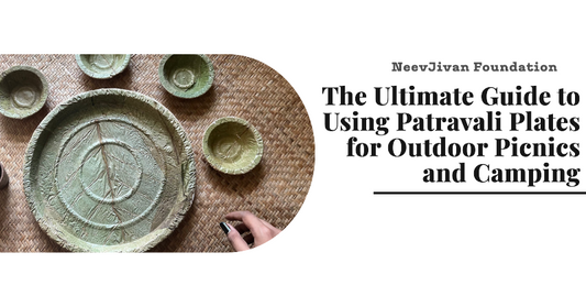 The Ultimate Guide to Using Patravali Plates for Outdoor Picnics and Camping