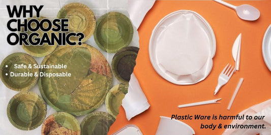 Patravali vs. Plastic: The Ultimate Showdown for Eco-Friendly Tableware